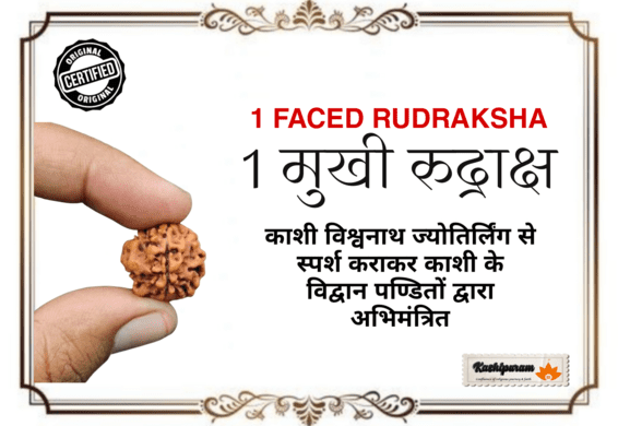 1 Mukhi Rudraksha (अभिमंत्रित 1 मुखी रुद्राक्ष मनका)